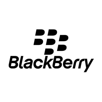 Image of Blackberry 9810